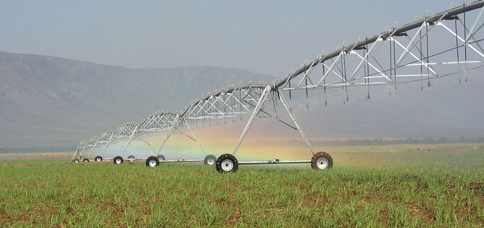 Irrigation System