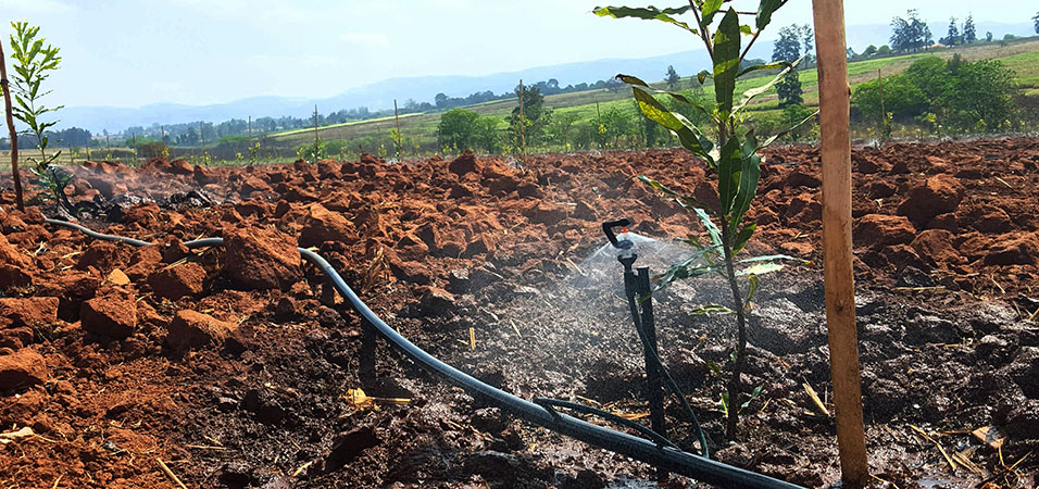 Irrigation Systems